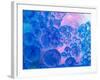 Macro of Oil Drops and Pigment on Water Surface with Bright Background-Abstract Oil Work-Framed Photographic Print