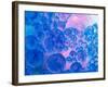 Macro of Oil Drops and Pigment on Water Surface with Bright Background-Abstract Oil Work-Framed Photographic Print