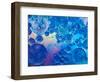 Macro of Oil Drops and Pigment on Water Surface with Bright Background-Abstract Oil Work-Framed Photographic Print