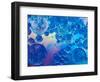 Macro of Oil Drops and Pigment on Water Surface with Bright Background-Abstract Oil Work-Framed Photographic Print