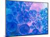 Macro of Oil Drops and Pigment on Water Surface with Bright Background-Abstract Oil Work-Mounted Photographic Print