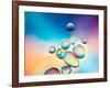 Macro of Oil Drops on Water Surface with Vibrant Colors in Background-Abstract Oil Work-Framed Photographic Print