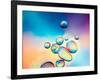 Macro of Oil Drops on Water Surface with Vibrant Colors in Background-Abstract Oil Work-Framed Photographic Print