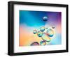 Macro of Oil Drops on Water Surface with Vibrant Colors in Background-Abstract Oil Work-Framed Photographic Print