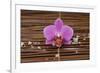 Macro of Orchid with Pile of White Salt on Mat-Apollofoto-Framed Photographic Print