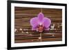 Macro of Orchid with Pile of White Salt on Mat-Apollofoto-Framed Photographic Print