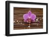 Macro of Orchid with Pile of White Salt on Mat-Apollofoto-Framed Photographic Print