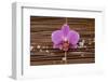 Macro of Orchid with Pile of White Salt on Mat-Apollofoto-Framed Photographic Print