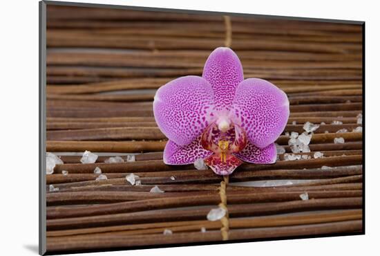 Macro of Orchid with Pile of White Salt on Mat-Apollofoto-Mounted Photographic Print