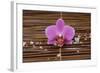 Macro of Orchid with Pile of White Salt on Mat-Apollofoto-Framed Photographic Print