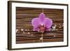 Macro of Orchid with Pile of White Salt on Mat-Apollofoto-Framed Photographic Print