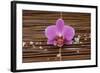 Macro of Orchid with Pile of White Salt on Mat-Apollofoto-Framed Photographic Print