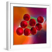 Macro of Red Engine Oil Drops on Water Surface with Colorful Blured Background-Abstract Oil Work-Framed Photographic Print
