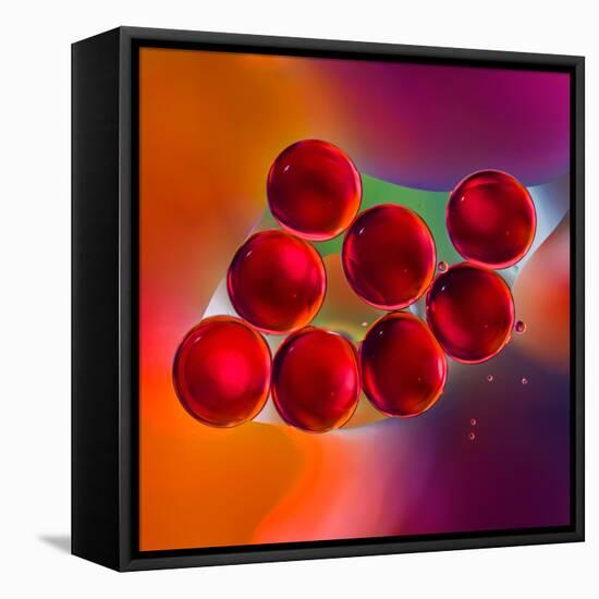 Macro of Red Engine Oil Drops on Water Surface with Colorful Blured Background-Abstract Oil Work-Framed Stretched Canvas