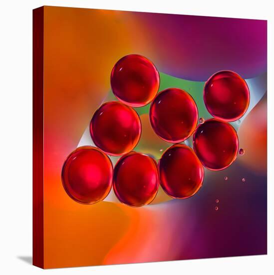 Macro of Red Engine Oil Drops on Water Surface with Colorful Blured Background-Abstract Oil Work-Stretched Canvas