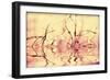 Macro Reflections-Incredi-Framed Giclee Print