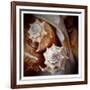 Macro Shells III-Rachel Perry-Framed Art Print