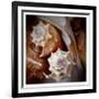 Macro Shells III-Rachel Perry-Framed Art Print