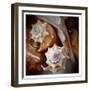 Macro Shells III-Rachel Perry-Framed Art Print