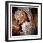 Macro Shells III-Rachel Perry-Framed Art Print