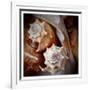 Macro Shells III-Rachel Perry-Framed Premium Giclee Print