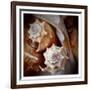 Macro Shells III-Rachel Perry-Framed Premium Giclee Print