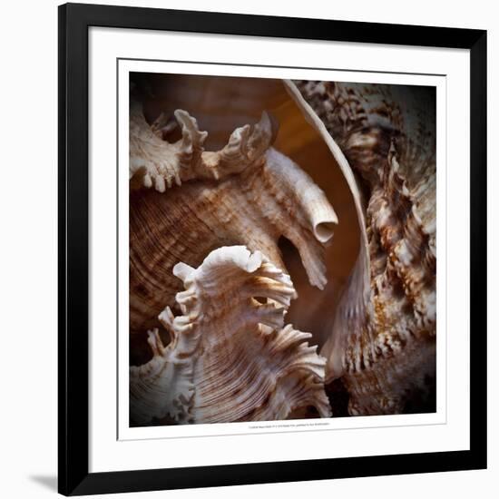 Macro Shells IV-Rachel Perry-Framed Art Print