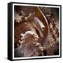 Macro Shells IV-Rachel Perry-Framed Stretched Canvas