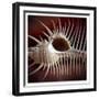 Macro Shells VIII-Rachel Perry-Framed Art Print