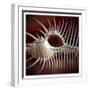 Macro Shells VIII-Rachel Perry-Framed Art Print