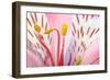 Macro Shot Flower Blossom-Deyan Georgiev-Framed Photographic Print