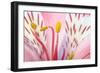 Macro Shot Flower Blossom-Deyan Georgiev-Framed Photographic Print