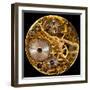 Macro Shot of the Interior of an Old Pocket Watch with a Hand-Wound Mechanical Movement-Steve Heap-Framed Photographic Print