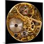 Macro Shot of the Interior of an Old Pocket Watch with a Hand-Wound Mechanical Movement-Steve Heap-Mounted Photographic Print