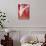 Macro Tulip I-Jonathan Nourock-Photographic Print displayed on a wall