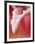 Macro Tulip I-Jonathan Nourock-Framed Photographic Print