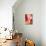 Macro Tulip II-Jonathan Nourock-Stretched Canvas displayed on a wall