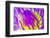 Macro Water Lily Lotus Flower for Pollen-EmoRomance-Framed Photographic Print