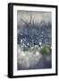 Macro Wonderworld-Incredi-Framed Giclee Print