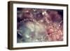 Macrodrops (2)-Incredi-Framed Giclee Print