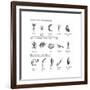 Macroinvertebrates Chart, Pollution Tolerance-Spencer Sutton-Framed Art Print