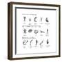 Macroinvertebrates Chart, Pollution Tolerance-Spencer Sutton-Framed Art Print