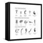 Macroinvertebrates Chart, Pollution Tolerance-Spencer Sutton-Framed Stretched Canvas