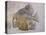 Macromesodon Macropterus Fish Fossil-Naturfoto Honal-Stretched Canvas