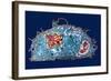 Macrophage And Tuberculosis Vaccine, TEM-Science Photo Library-Framed Premium Photographic Print