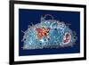 Macrophage And Tuberculosis Vaccine, TEM-Science Photo Library-Framed Photographic Print