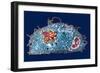 Macrophage And Tuberculosis Vaccine, TEM-Science Photo Library-Framed Photographic Print