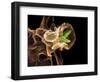 Macrophage Engulfing TB Bacteria, SEM-Science Photo Library-Framed Premium Photographic Print