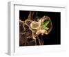 Macrophage Engulfing TB Bacteria, SEM-Science Photo Library-Framed Premium Photographic Print