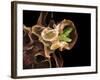 Macrophage Engulfing TB Bacteria, SEM-Science Photo Library-Framed Photographic Print